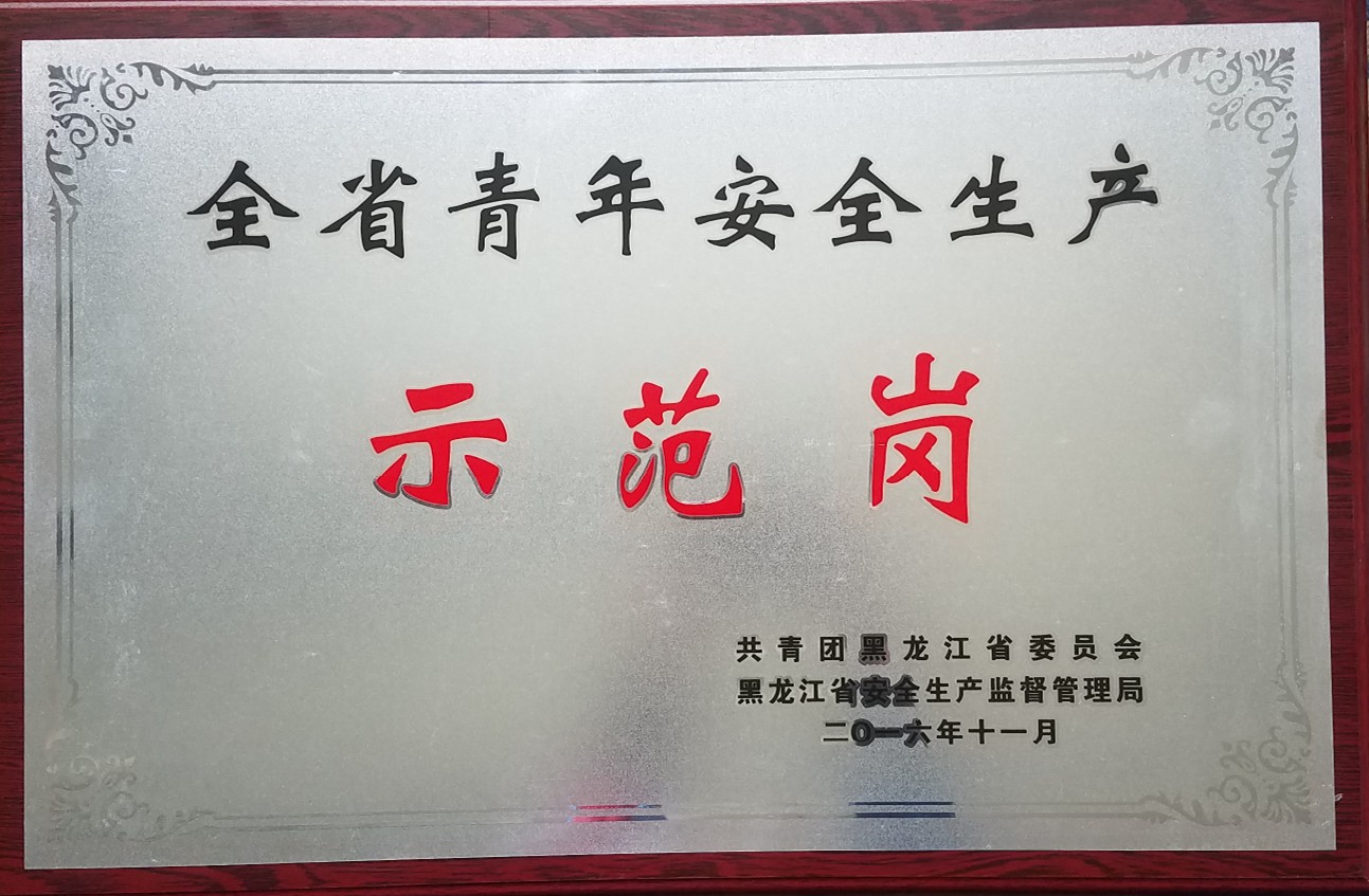 2016年全省青年安全生產(chǎn)示范崗